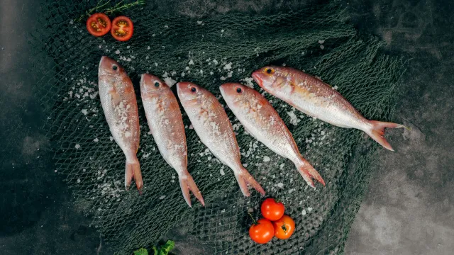 الصورة الرئيسية لمقال: تفسير حلم أكل السمك النيء في المنام