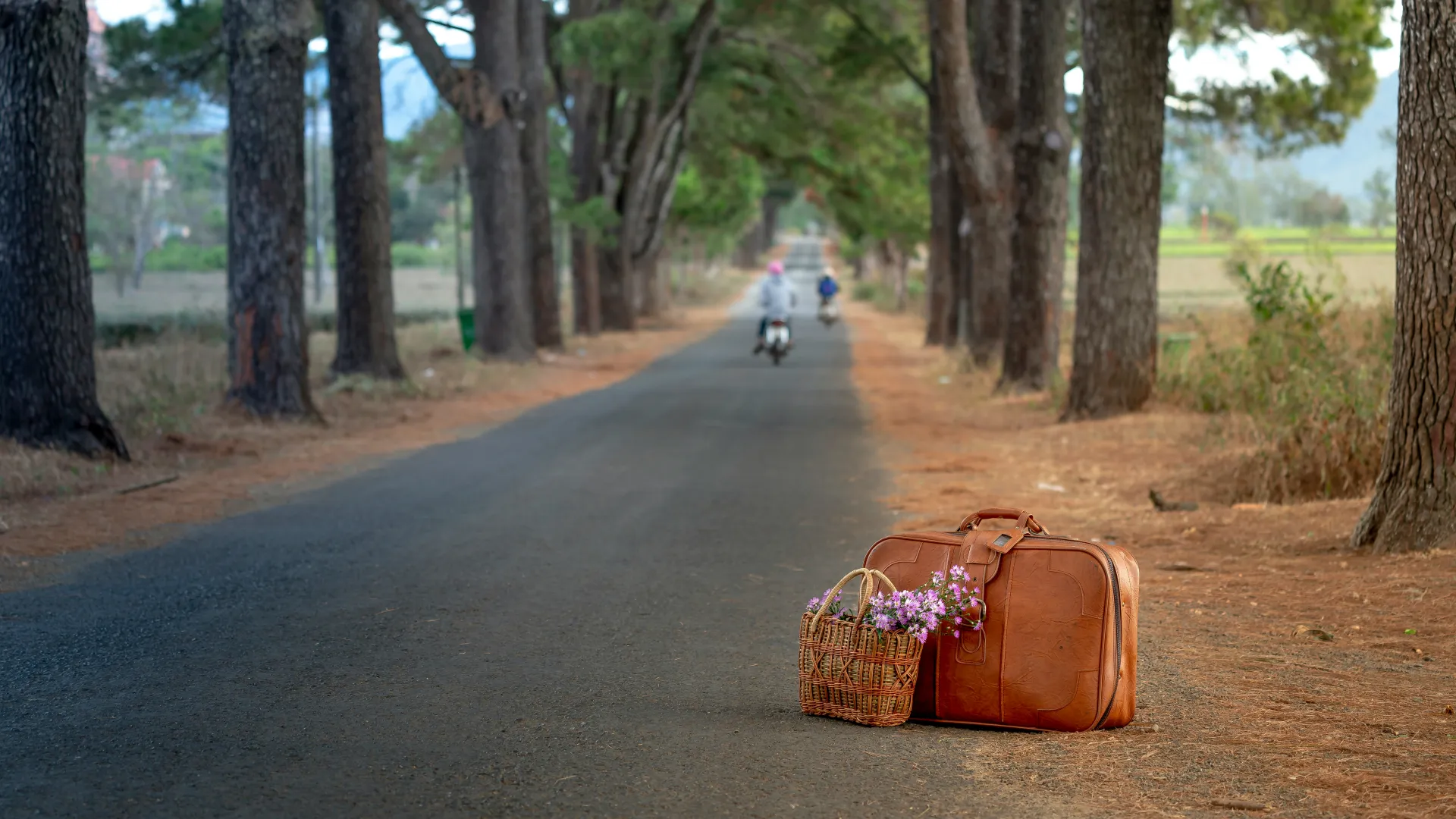 الصورة الرئيسية لمقال: تفسير حلم السفر في منام المرأة المتزوجة
