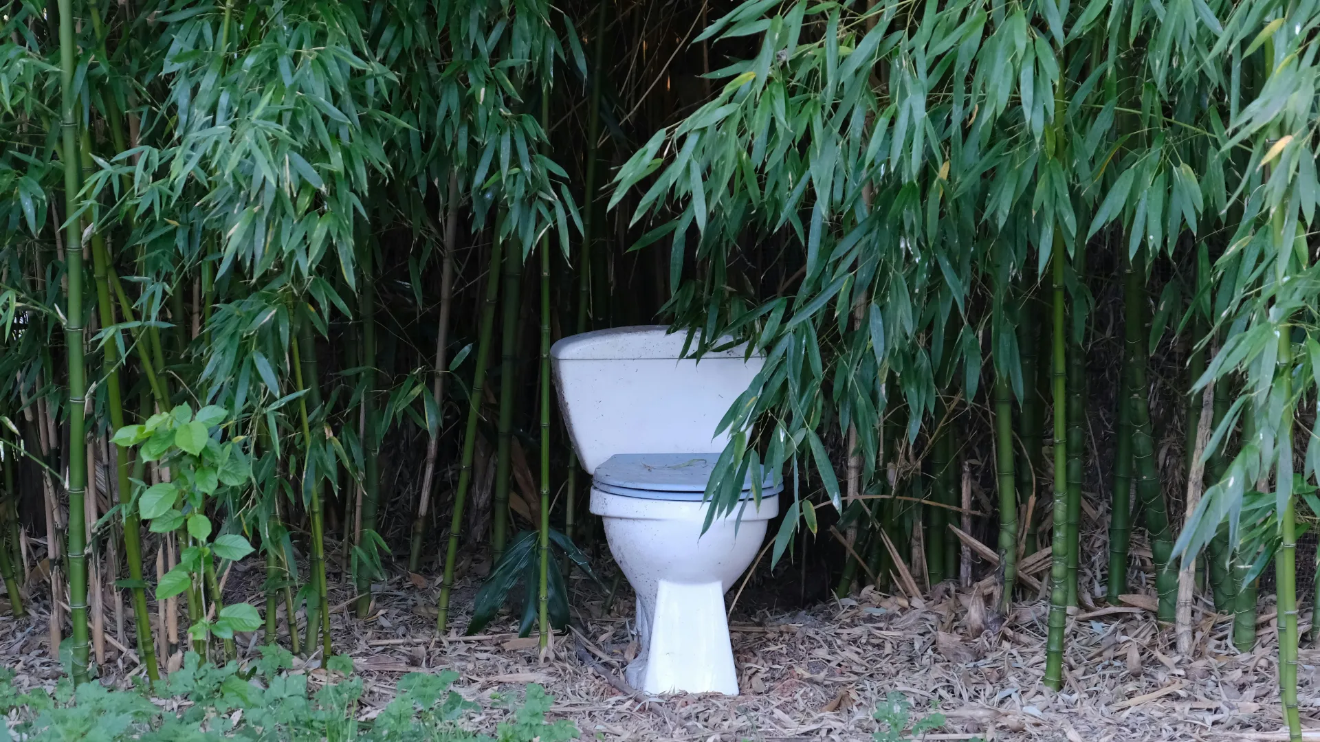 الصورة الرئيسية لمقال: تفسير حلم التبول في المنام بالنسبة للرجل والمرأة