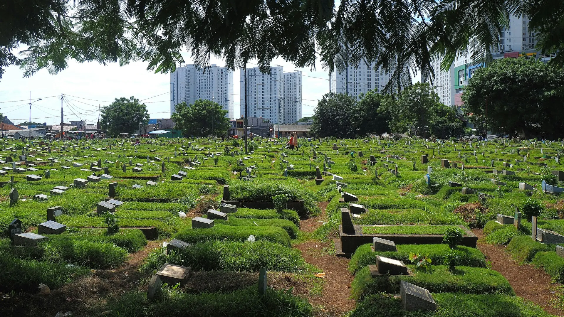 الصورة الرئيسية لمقال: تفسير حلم التجول في المقبرة في المنام